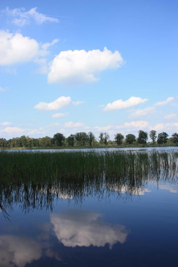 Vakantiehuis Appelvink, Toplocatie In Bosrijke Omgeving Ойстервейк Экстерьер фото