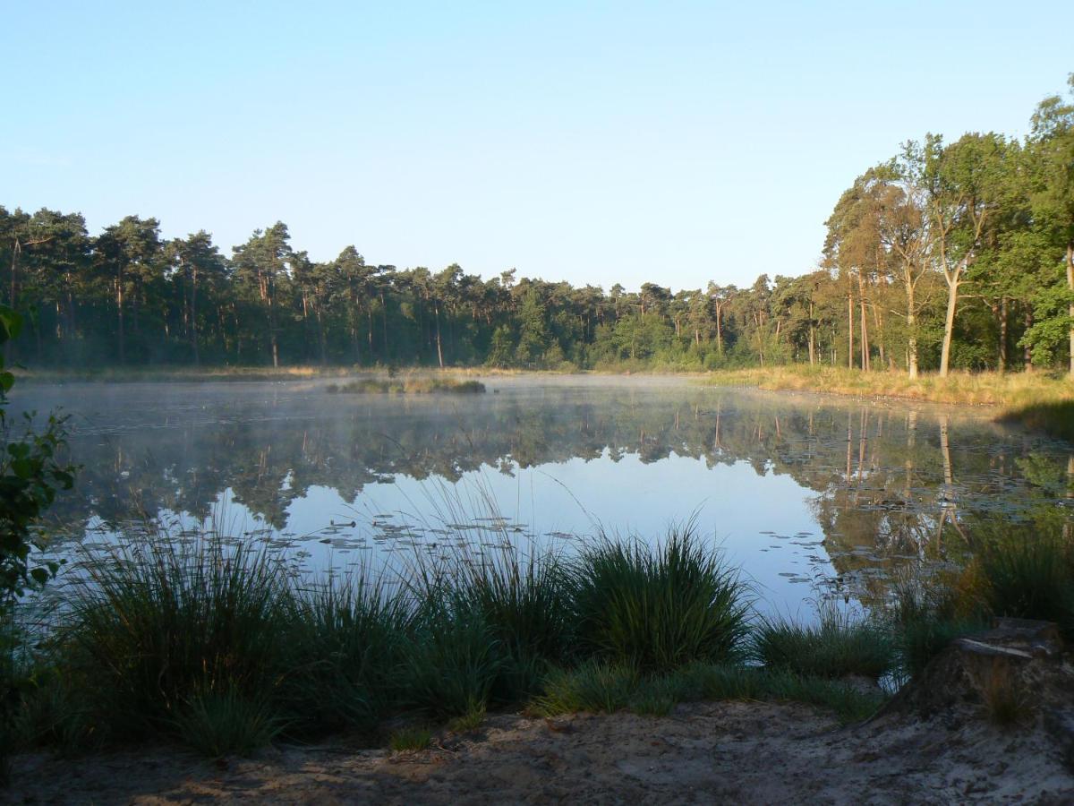 Vakantiehuis Appelvink, Toplocatie In Bosrijke Omgeving Ойстервейк Экстерьер фото