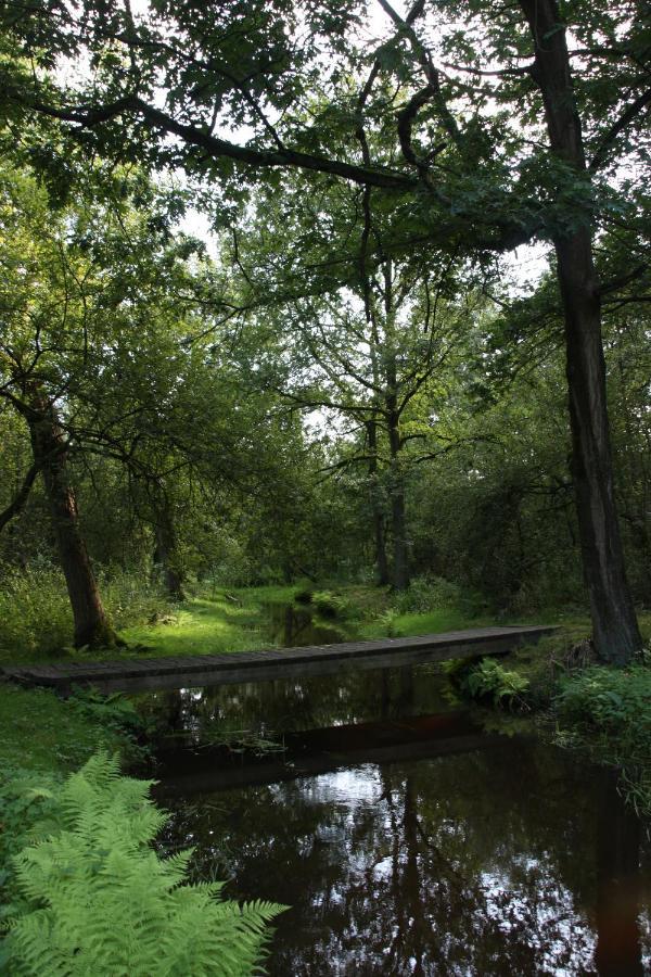Vakantiehuis Appelvink, Toplocatie In Bosrijke Omgeving Ойстервейк Экстерьер фото