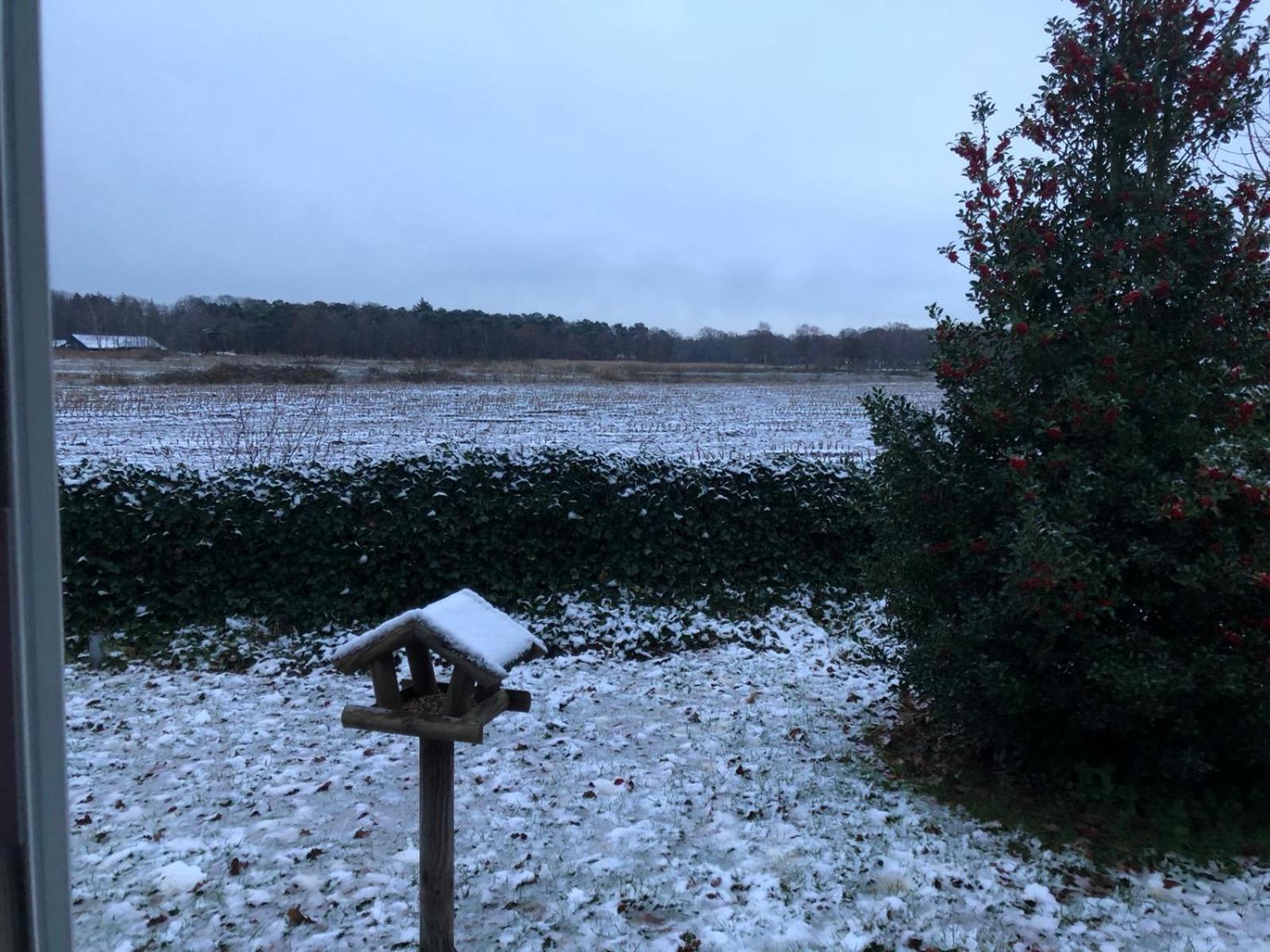 Vakantiehuis Appelvink, Toplocatie In Bosrijke Omgeving Ойстервейк Экстерьер фото